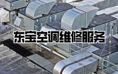 东宝空调维修服务