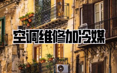 空调维修加冷媒
