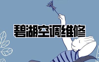 碧湖空调维修