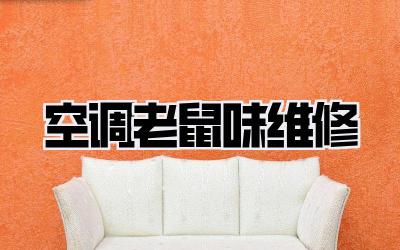 空调老鼠味维修