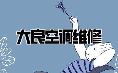 大良空调维修
