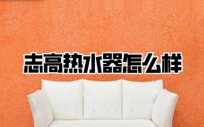 志高热水器怎么样