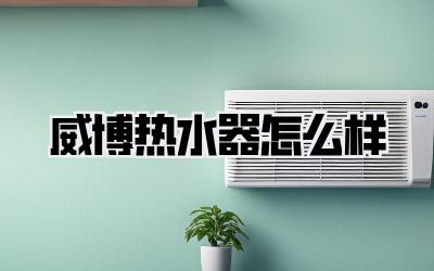 威博热水器怎么样