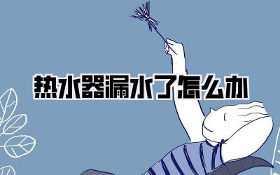 热水器漏水了怎么办