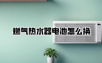 燃气热水器电池怎么换