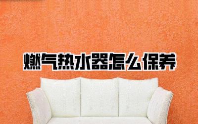 燃气热水器怎么保养