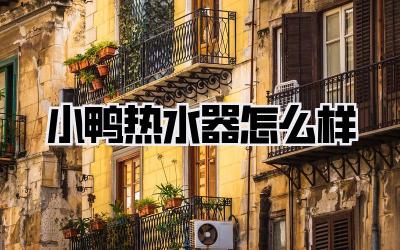 小鸭热水器怎么样