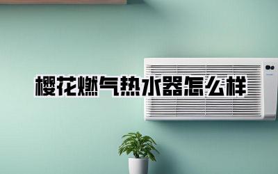 樱花燃气热水器怎么样