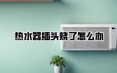 热水器插头烧了怎么办
