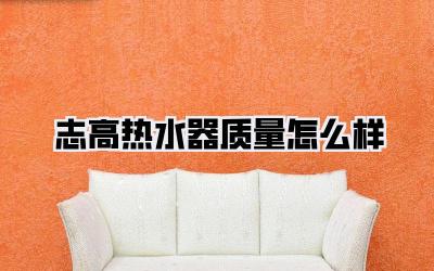 志高热水器质量怎么样
