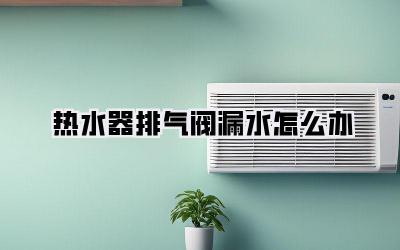 热水器排气阀漏水怎么办