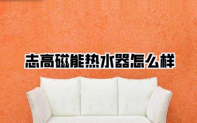 志高磁能热水器怎么样