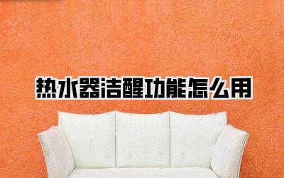 热水器洁醒功能怎么用