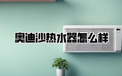 奥迪沙热水器怎么样