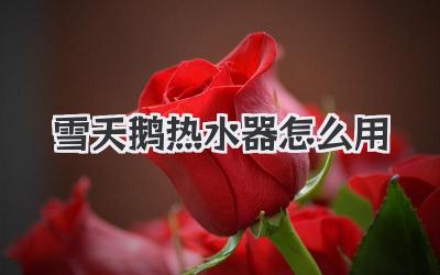 雪天鹅热水器怎么用