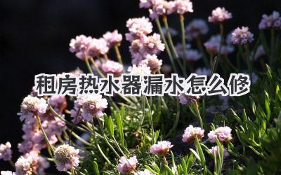 租房热水器漏水怎么修