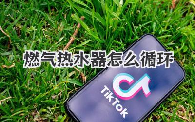 燃气热水器怎么循环