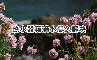 热水器箱滴水怎么解决