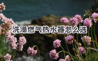 洗澡燃气热水器怎么选