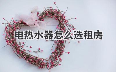 电热水器怎么选租房