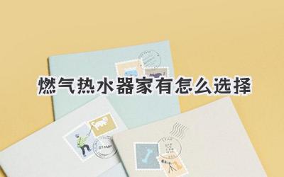 燃气热水器家有怎么选择