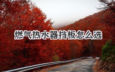 燃气热水器挡板怎么选