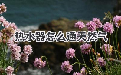 热水器怎么通天然气