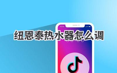 纽恩泰热水器怎么调