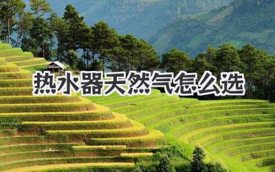 热水器天然气怎么选