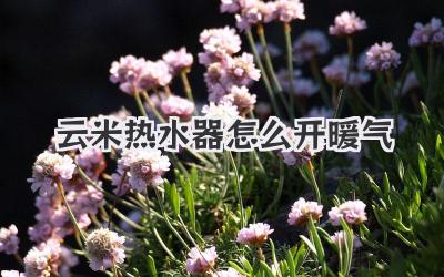 云米热水器怎么开暖气