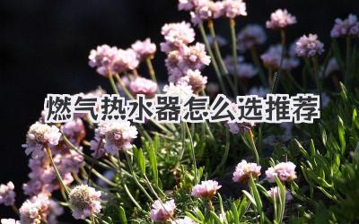 燃气热水器怎么选推荐