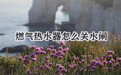 燃气热水器怎么关水闸
