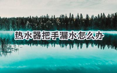 热水器把手漏水怎么办