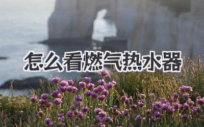 怎么看燃气热水器