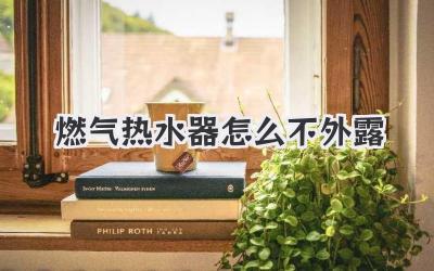 燃气热水器怎么不外露