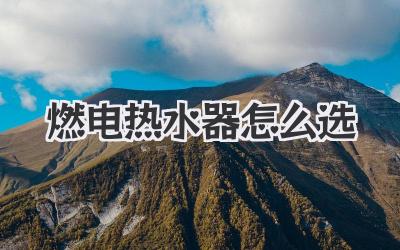 燃电热水器怎么选