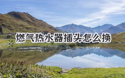 燃气热水器插头怎么换